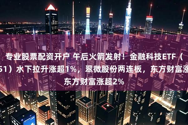 专业股票配资开户 午后火箭发射！金融科技ETF（159851）水下拉升涨超1%，翠微股份两连板，东方财富涨超2%
