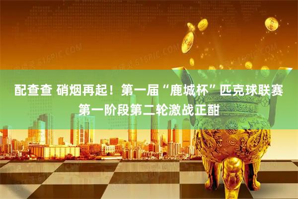 配查查 硝烟再起！第一届“鹿城杯”匹克球联赛第一阶段第二轮激战正酣