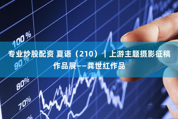 专业炒股配资 夏语（210）｜上游主题摄影征稿作品展——龚世红作品